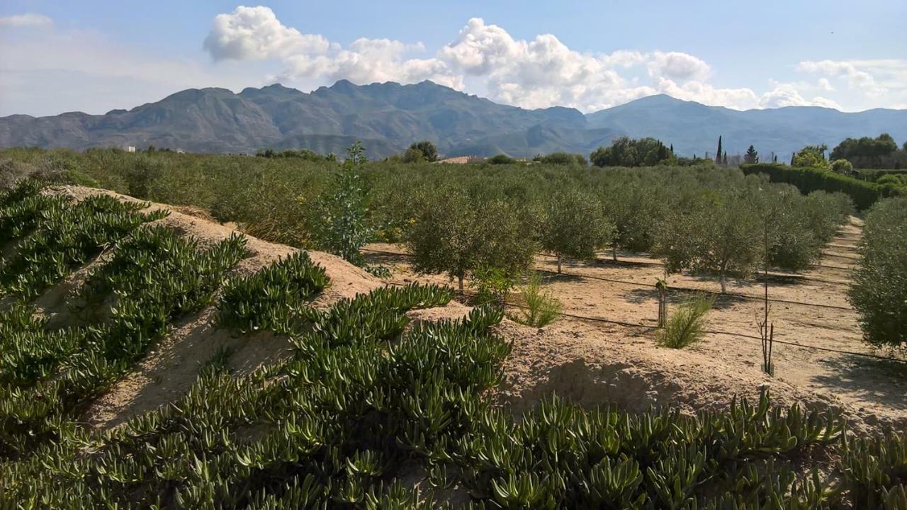 Casa Gregory Villa Turre Luaran gambar